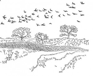 Illustration From The Wind in the Willows